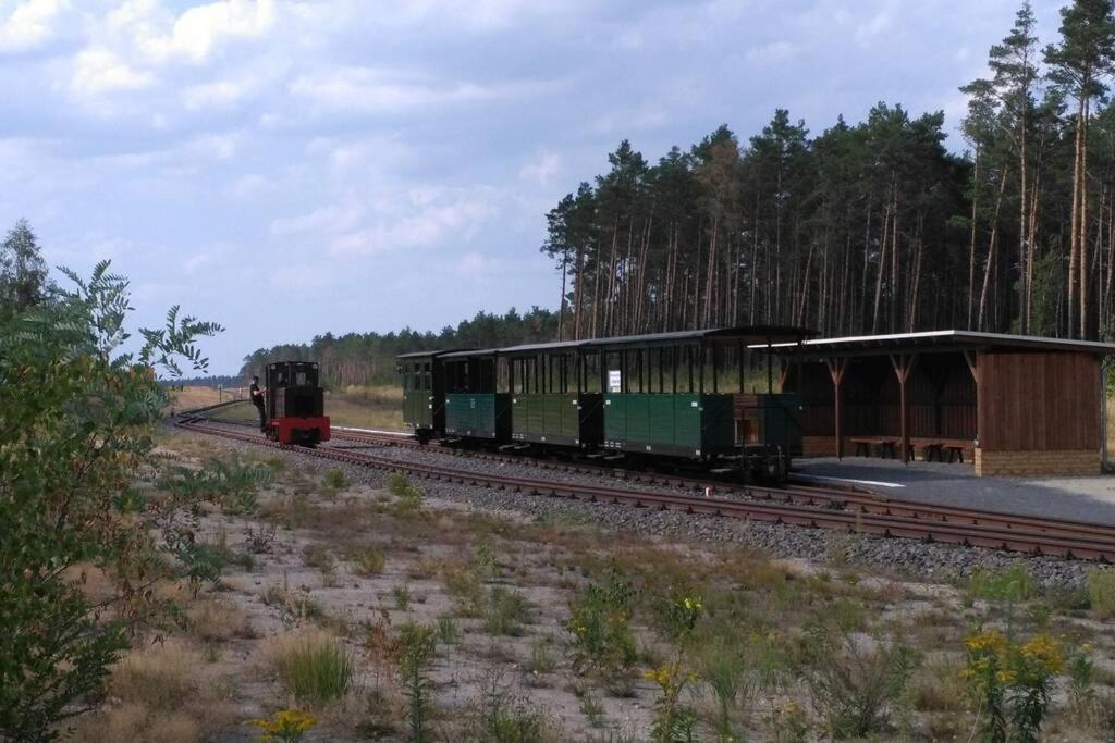 Rietschen, Natur Erleben Luaran gambar